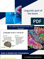 Linguistic Part of The Brain