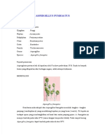 (PDF) Aspergillus Fumigatus