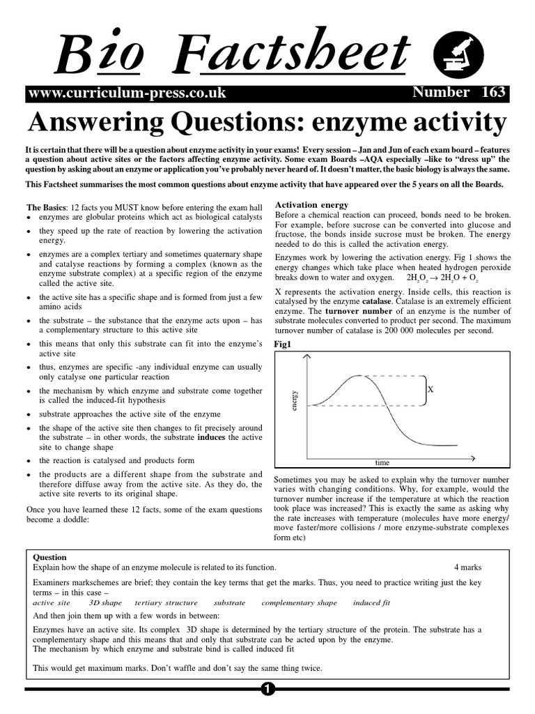 Answering Questions - Enzyme Activity | PDF | Active Site | Substrate ...