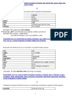 Acuzativul in Germana.pdf