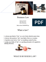 Business Law Basics and Key Areas