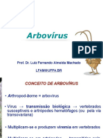 5. Arbovírus.pdf