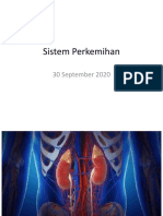IDK. Anatomi Sistem Perkemihan