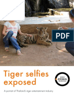 Tiger Selfies Exposed DK