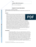 Genetics and neural tube.pdf