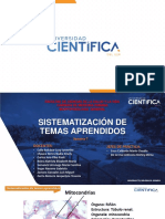 7 Histología Sistematización de Temasaprendidos 2020 2 PDF