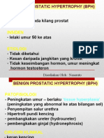 Benign Prostatic Hypertrophy (BPH) : Definisi