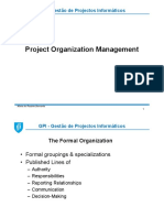 Project Organization Management