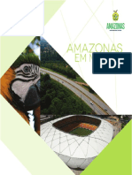 Amazonas em Mapas - Publicação Ano 2019