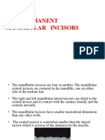 The Permanent Mandibular Incisors