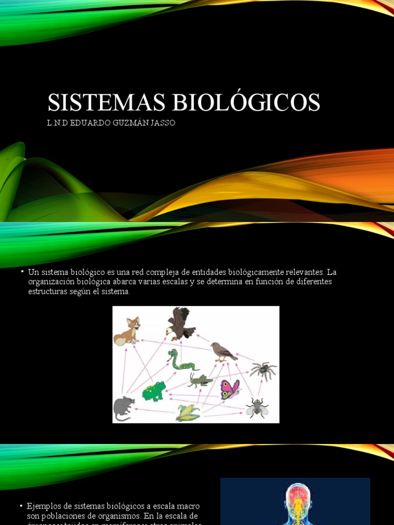 Introducción a los Sistemas Biológicos | PDF | Biologia de sistemas ...