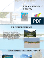 The Caribbean Region