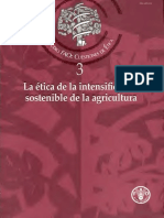 Etica de La Intensificacion PDF
