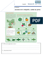 FICHA Comunicacion SEM.28 DIA 4