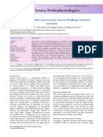 Acta Persica Pathophysiologica: Curcumin and Kidney Protection Current Findings and New Concepts