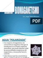 Hidro-biomagnetismo 2009.pdf