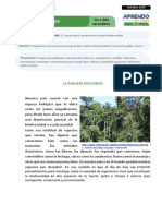 FICHA AUTOAPRENDIZAJE CICLO VI CIENCIA Y TECNOLOGIA SEMANA 2 (2).pdf