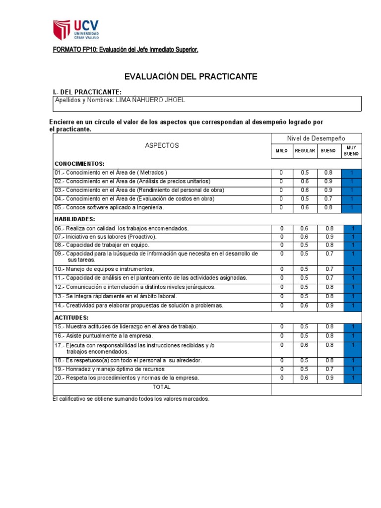 Evaluación de Desempeño del Practicante | PDF | Business | Science