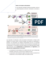 434454495-Inmunidad-Adaptativa-Frente-a-Las-Bacterias-Extracelulares.docx