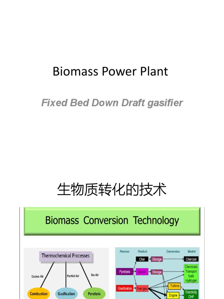 Biomass Gasification Technology Overview | PDF | Technology & Engineering