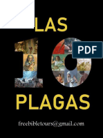 LAS 10 PLAGAS (Tour Highlights)