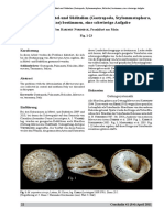 Nordsieck - Murellen 2011 Kopie PDF