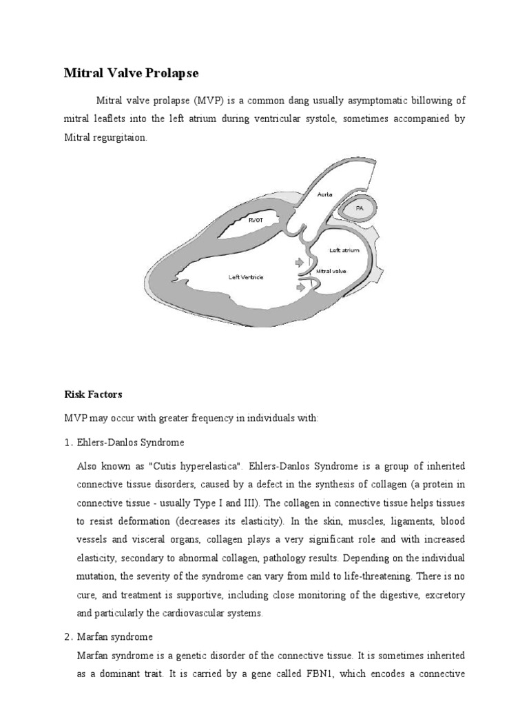 Mitral Valve Prolapse | PDF | Cardiovascular Diseases | Cardiology