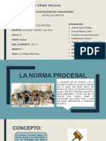 La Norma Procesal-1