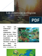 Las Dinámicas Ecológicas-7