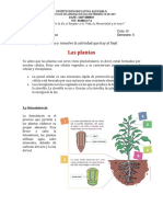 Ciclo III Agosto 8