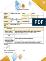 Formato Plan de Prácticas