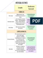 Articulaciones PDF