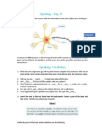 Speaking - Pag 39: Dendrite