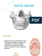 anatomadental-161211224409