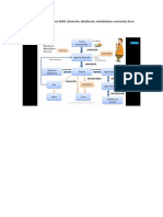 Infografía Del Proceso ADME