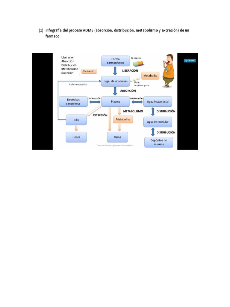 Infografía Del Proceso ADME | PDF