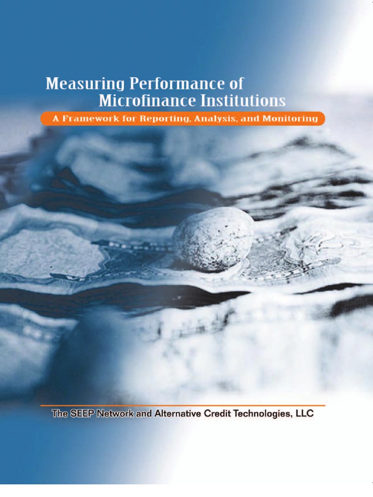 Measuring Performance of MFIs Framework | PDF | Microfinance | Income ...