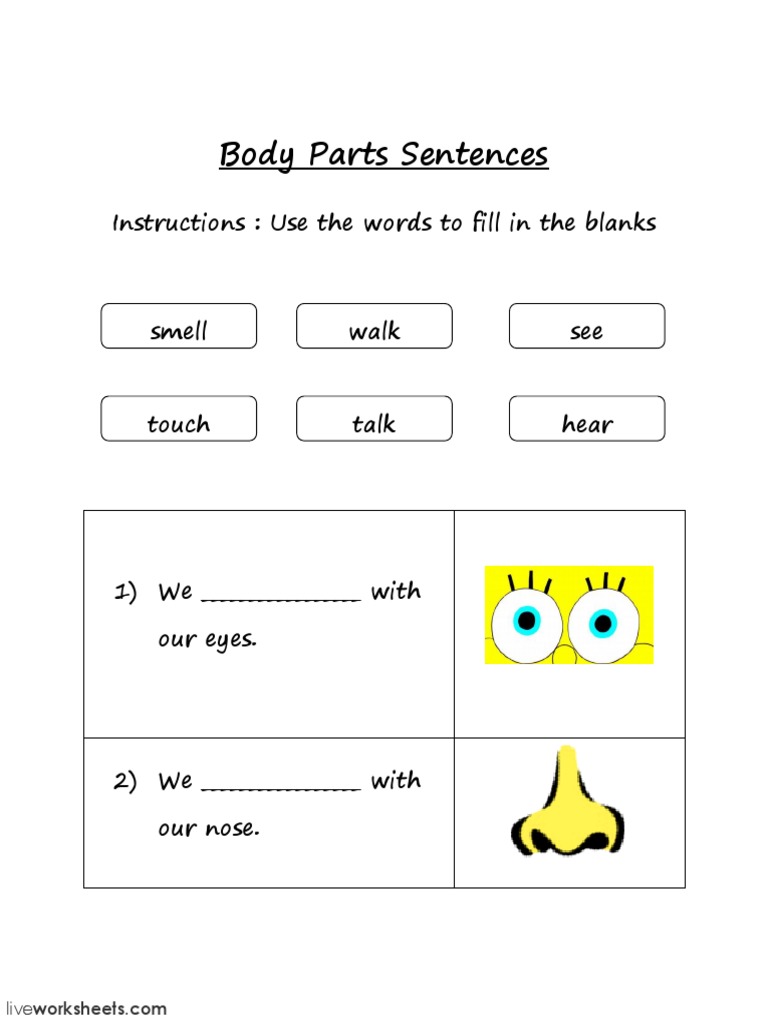 Body Parts Sentences: Instructions: Use The Words To Fill in The Blanks ...
