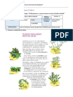 ficha de teabajo 6 octubre.pdf