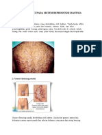 10 Penyakit Pada Sistem Reproduksi Manusia