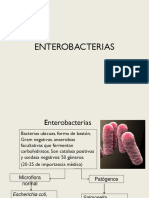 Sesion 9 Bacterias en Tgi PDF