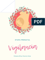 II Vigilancia Prenatal