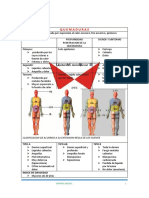 Lesion Por Quemadura