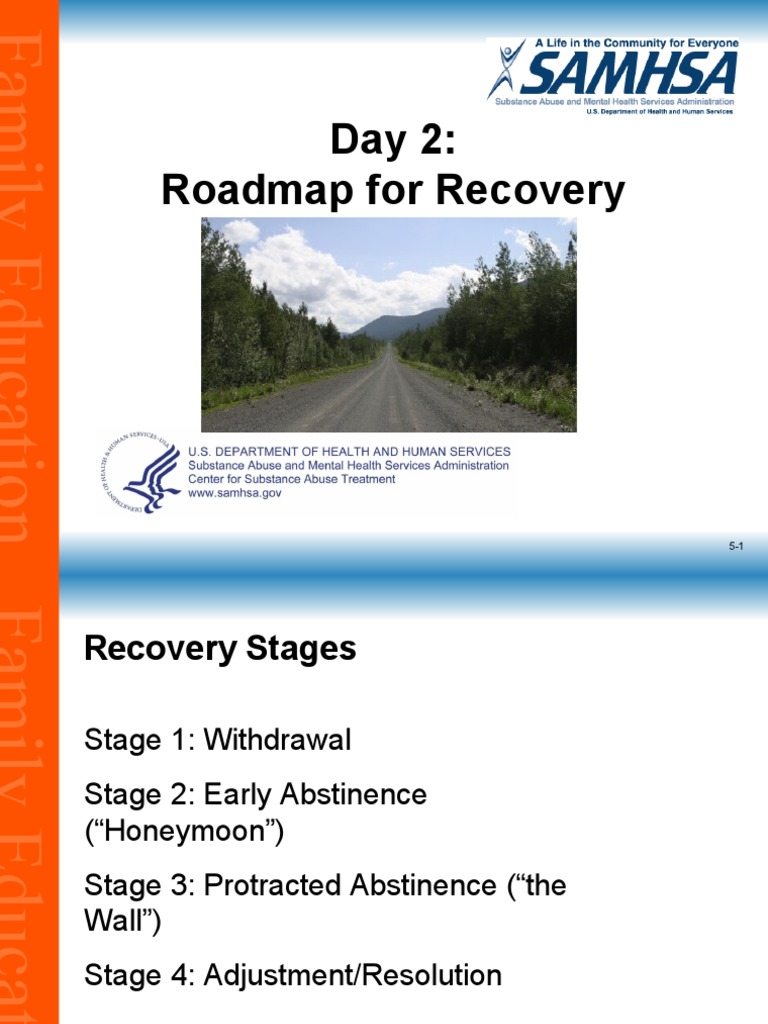 Day 2: Roadmap For Recovery | PDF | Relapse | Substance Abuse