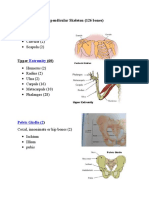 Appendicular Skeleton (126 Bones) : Clavicle (2) Scapula