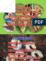 9 Larvas-Pupas-Ciclo Biológico y Nociones de Ecología Insectil