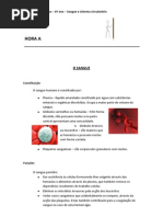 O SANGUe - resumo e questões