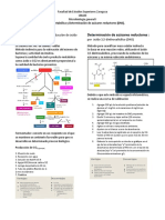 Actividad Metabílica y DNS