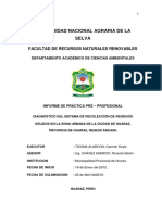 DIAGNOSTICO DEL SISTEMA DE RECOLECCION DE RESIDUOS SOLIDOS EN LA ZONA URBANA DE LA CIUDAD DE HUARAZ.pdf