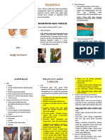 PDF Leaflet Akses Vaskuler - Compress